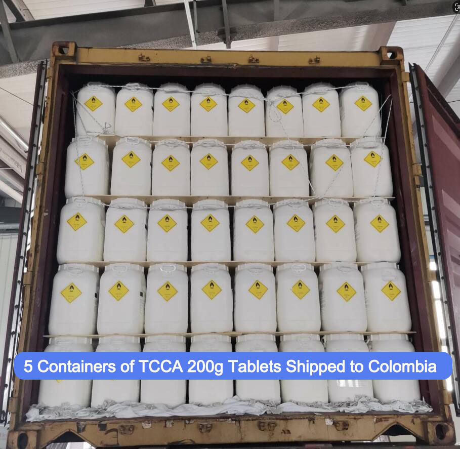 1775115596509944.jpg TCCA .jpg